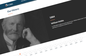 Screenshot of Hobbs – WordPress Website website