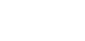 White Day Group logo.